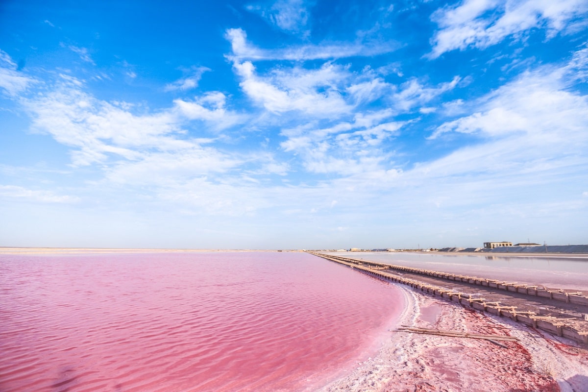 Lac Rose